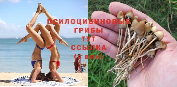 ALPHA PVP Домодедово