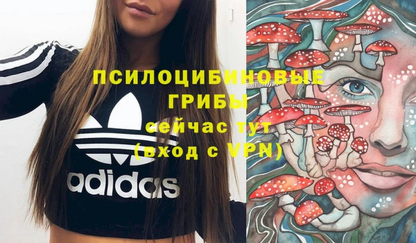 ALPHA PVP Домодедово