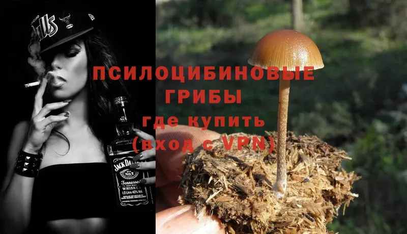 Псилоцибиновые грибы Psilocybe  где найти   мега как зайти  Заречный 