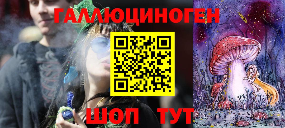 Псилоцибиновые грибы Psilocybe  Галлюциногенные грибы MAGIC MUSHROOMS  Заречный 