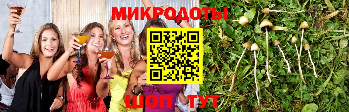 Заречный  Галлюциногенные грибы MAGIC MUSHROOMS  Вход с VPN 